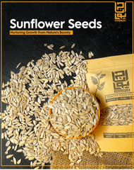 Sunflower Seeds